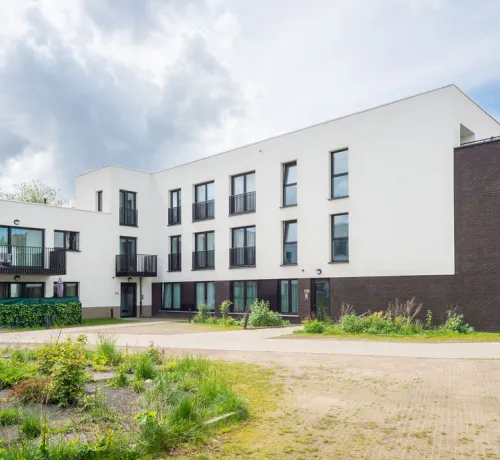 Cantillana_Rommelaere_Crepi_Sierpleister_Blanc_beige_facade_Gevel